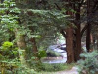 photos 2000-200902516